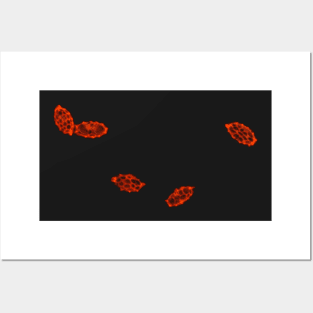 Aleuria aurantia (orange peel fungus) spores under the microscope Posters and Art